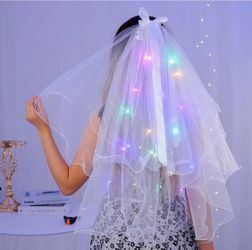 Light up Veil