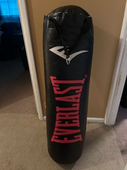 EVERLAST dual station heavy bag stand, 100LB heavy bag, speedbag value bundle(375$ original value)