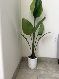 Artificial Plant