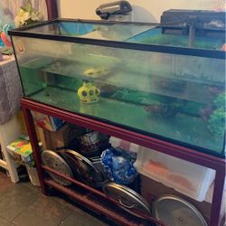 Fish Tank With Seat Up 