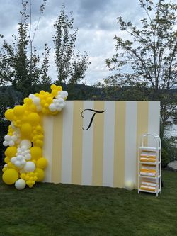Large back drop photo wall