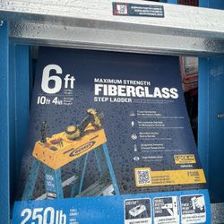 Brand New 6ft Latter 