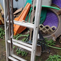 Long Adjustable Ladder