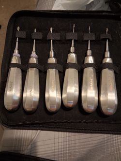 Multiple Veterinary Dental Instruments