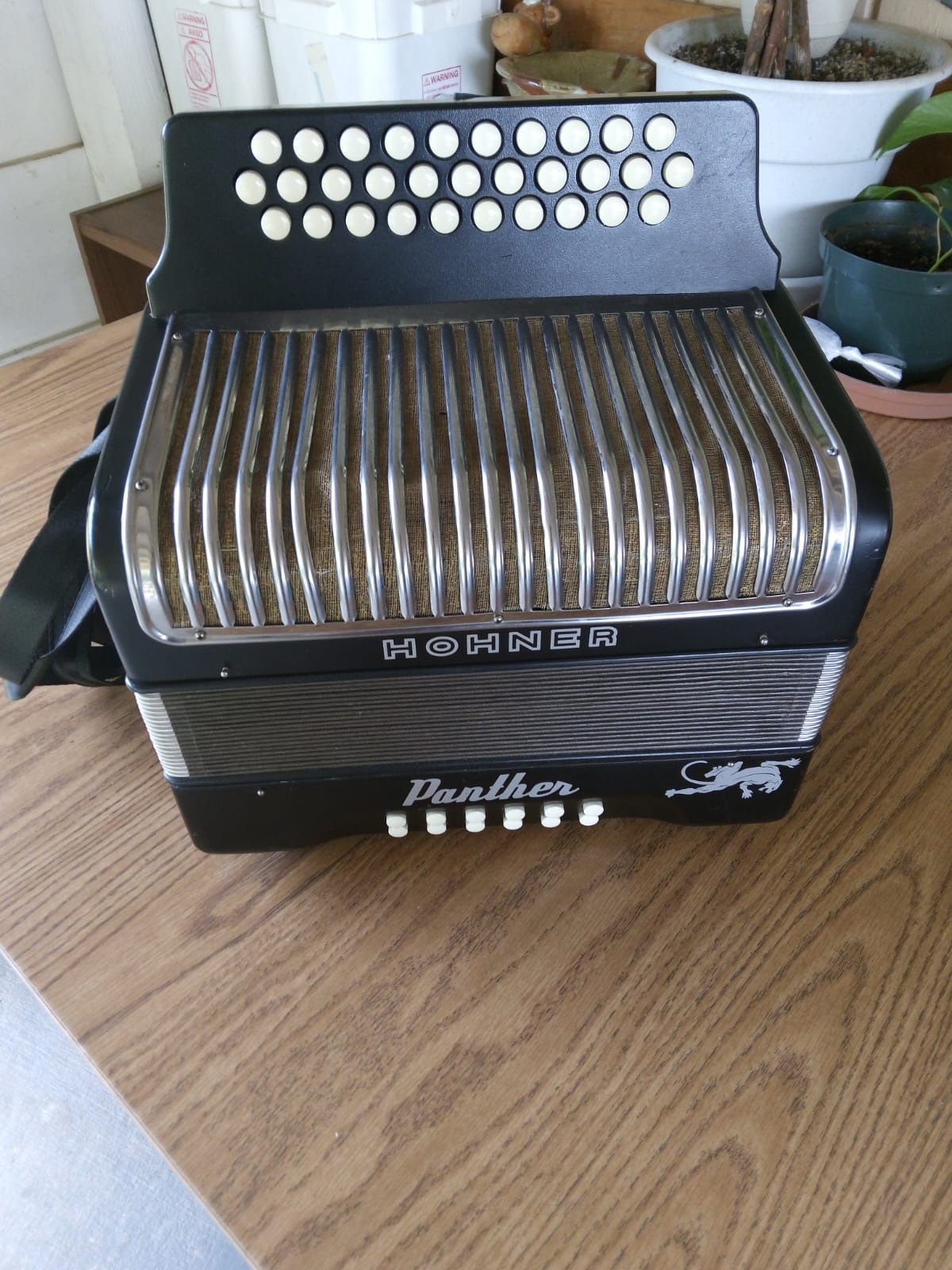 Accordion