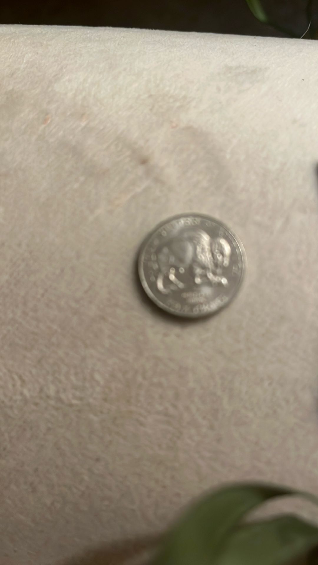 Buffalo Nickel 2005