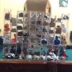 Beanie babies collectibles