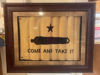 Framed "come and take it " flag