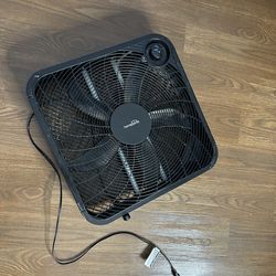 Fan