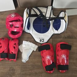 Bushido Martial arts, sparring, protective gear set