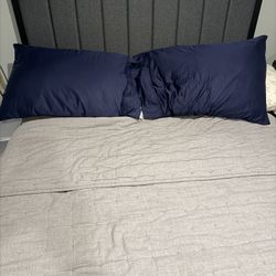 Beauty Rest Mattress And Back Board 