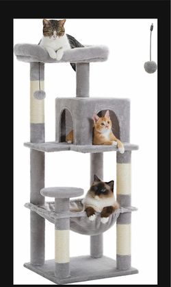 New cat tree- Still in the box