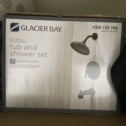 Glacier Bay Oswell Shower