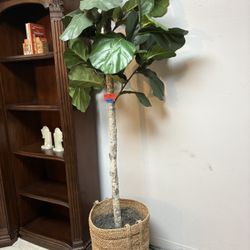 6.5 Artificial Decor Tree $49.99 