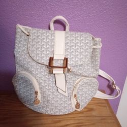 Nice Purse Backpack 