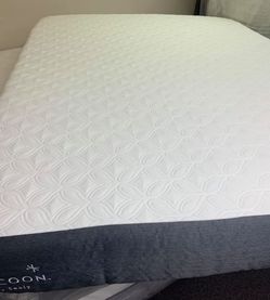 Sealy Queen Mattress