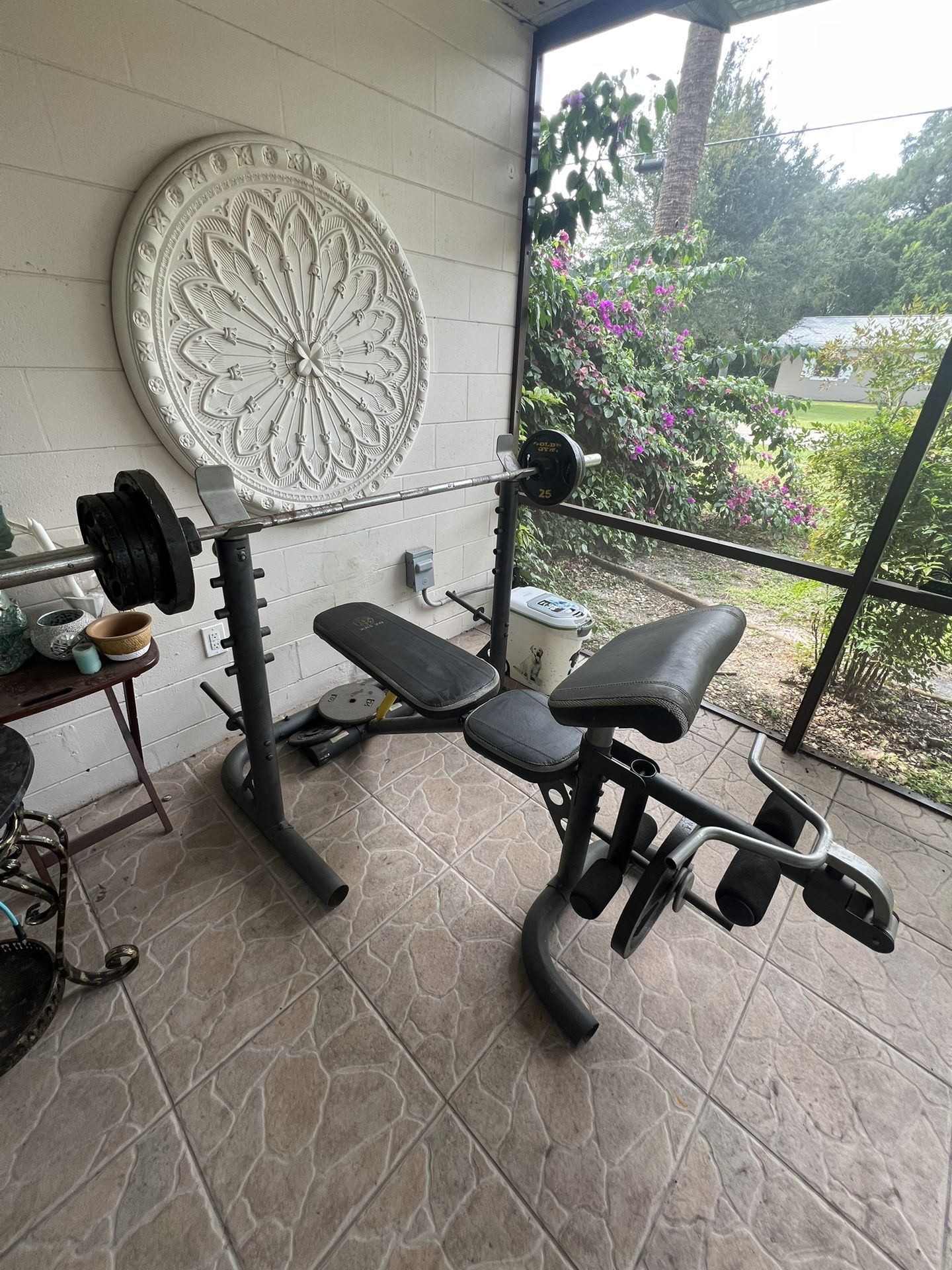 Bench Press And Weights