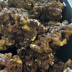 Real Reef Live Rock  150 Plus Lbs 