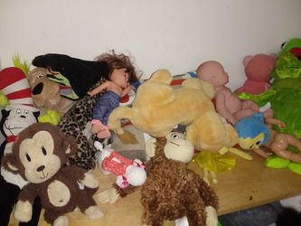 Toys in teddy bears in more