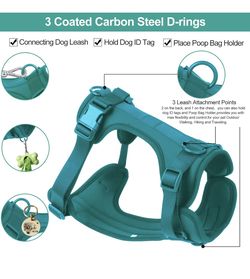 Wisedog Harness, Leash and Collar