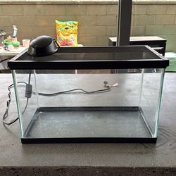 5 gallon fish tank with heat lamp