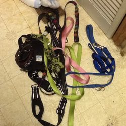 Random large pet leash and collar or harness sets