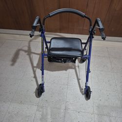 Adult Walker/Storage Device