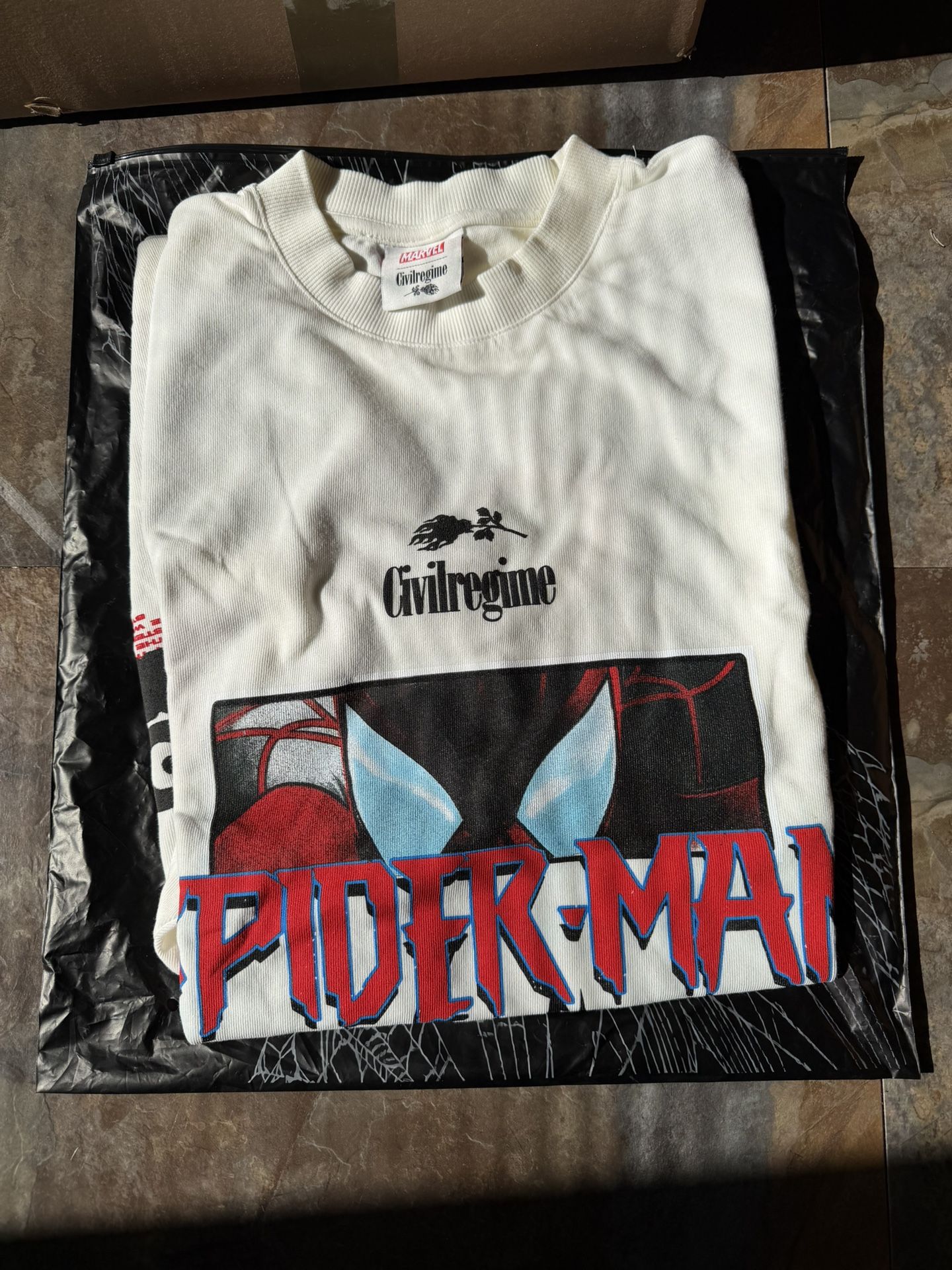 Swinging through chaos American Classic civil regime