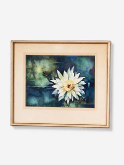 Signed Mid-Century Modern Botanical Water Lily Watercolor, c.1960's - Delivery Available