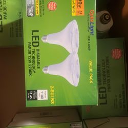LED Flood Lamp