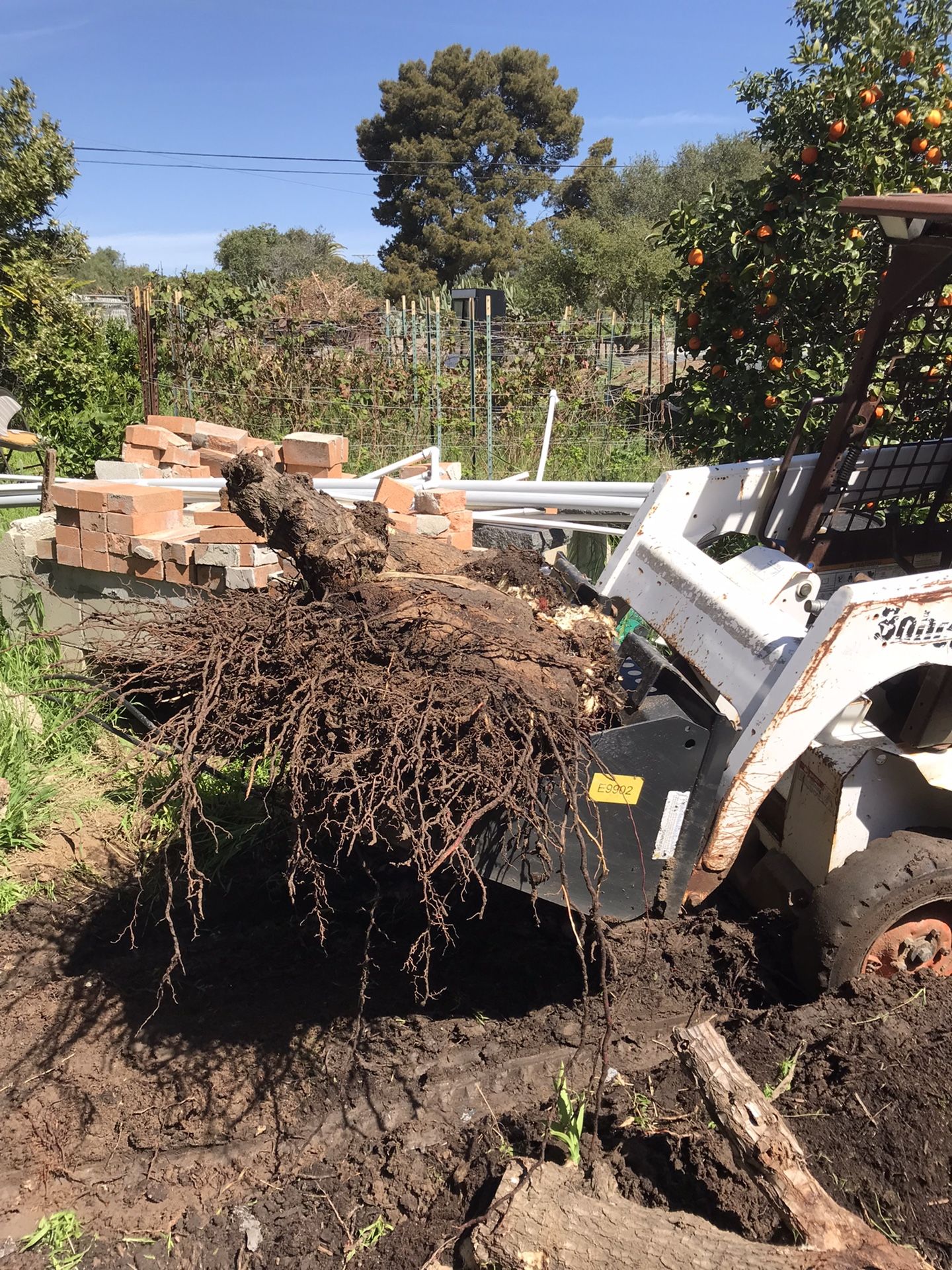 Bobcat Tractor Work