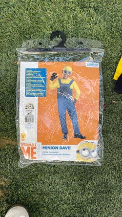 Minion everything