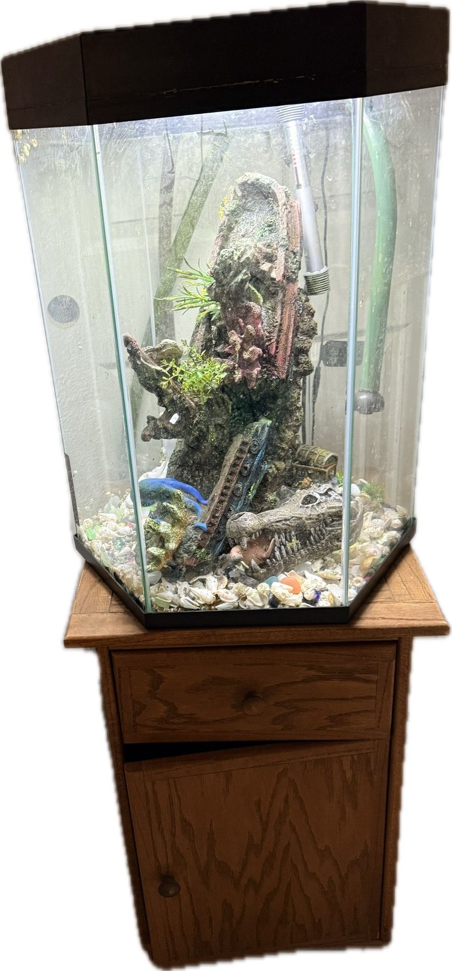 Fish tank and stand