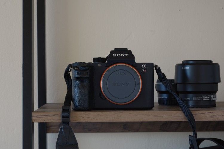 Sony A7RII + Sony 50mm F1.8