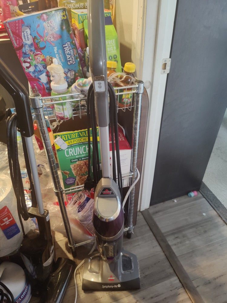 Bissell Hardwood Floor Steamer