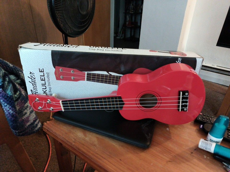 UKULELE FROM AUDSTER in Very Good Condition