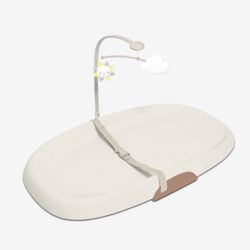 Skip Hop Changing Pad