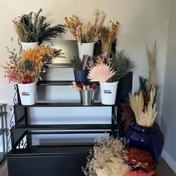 Assorted Dried Flowers In Bulk 
