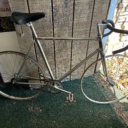 Racing Freud track bike.