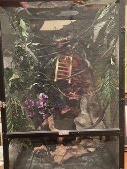 Exo Terra Screened Reptile Enclosure