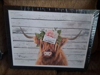 Highland Cow Framed Canvas