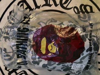 BAPE A Bathing Ape Camo Item Sealed