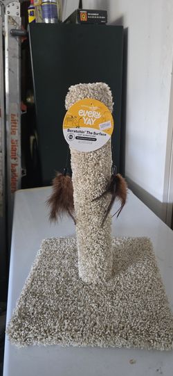 Cat Scratch Post EveryYay