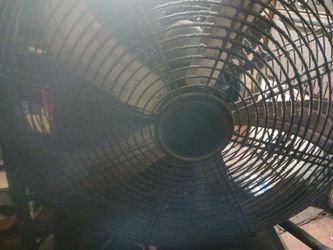 Meta Floor Fan