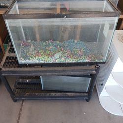 20 Gallon Fish Tank Aquarium