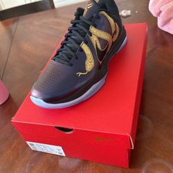 Kobe V Protro