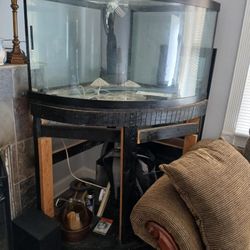 Corner Fish Tank Asking 400