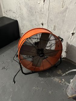 Fan