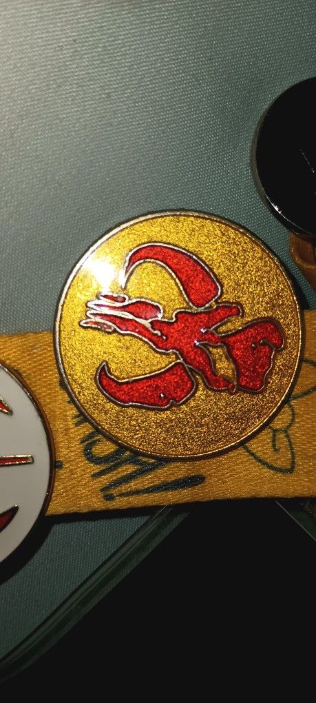 2
2010 Disney Star Wars Mandalorian Logo Emblem Pin