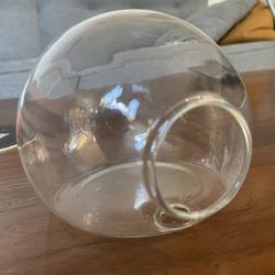 Terrarium Globes